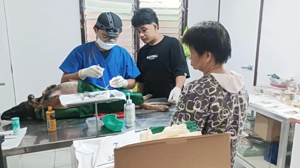 Clinique vétérinaire