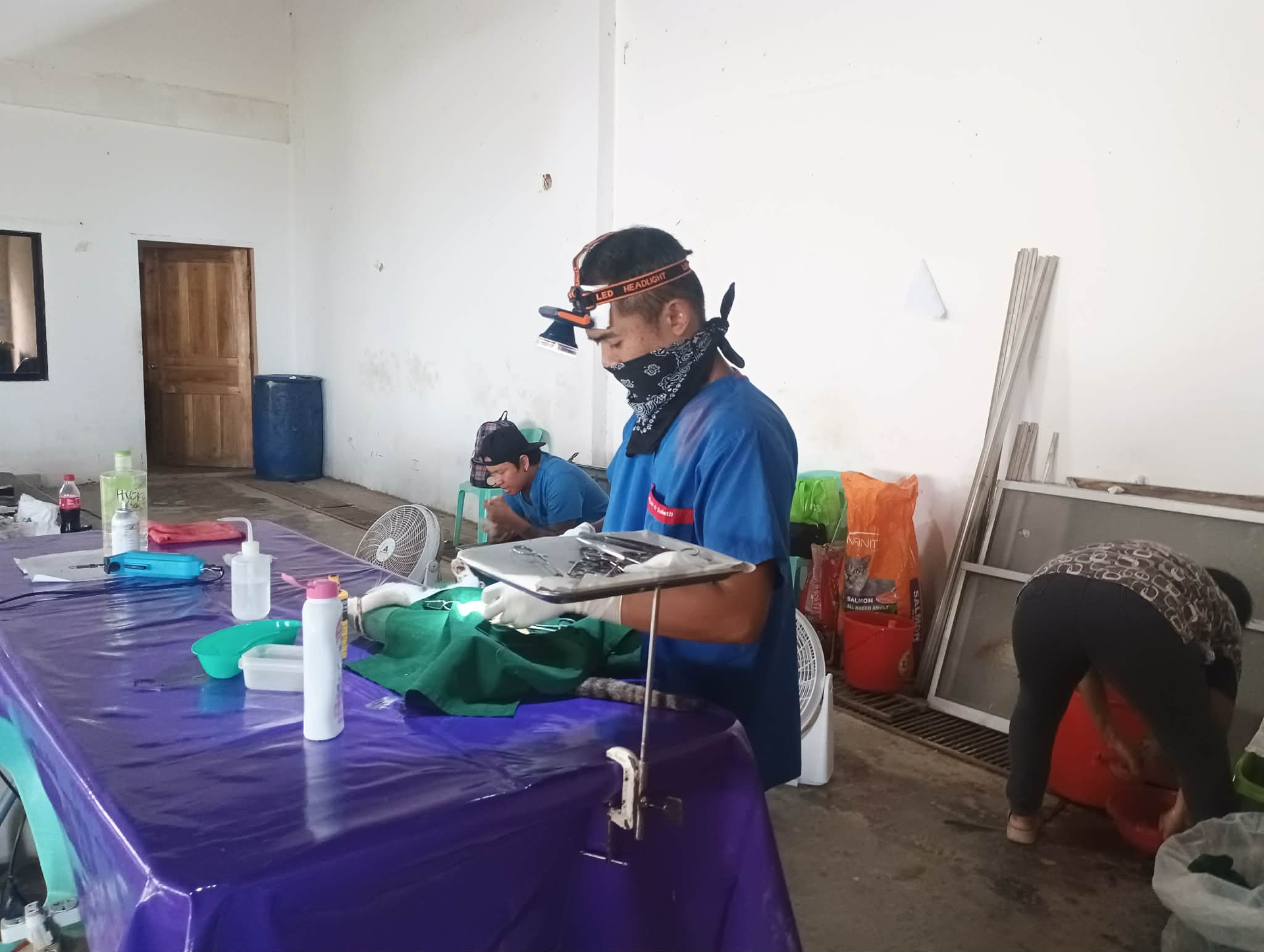 table d'opération vétérinaire en campagne