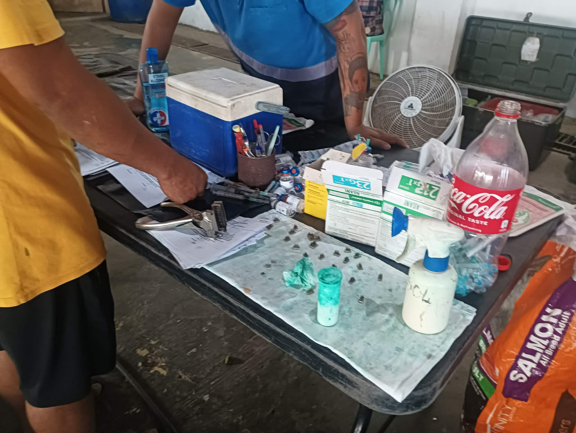 table des produits pharmaceutiques en campagne